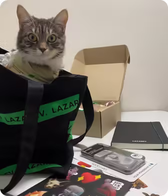 Gray tabby cat sitting inside a black tote bag with boxes and packaged items on a white table.